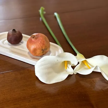 Vakantiehuis Αιθεροβάμων - Etherovamon *