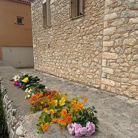 Αιθεροβάμων - Etherovamon 別荘 3*