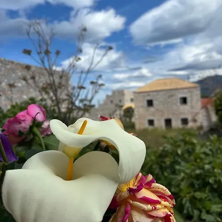 Сasa de vacaciones Αιθεροβάμων - Etherovamon 3*