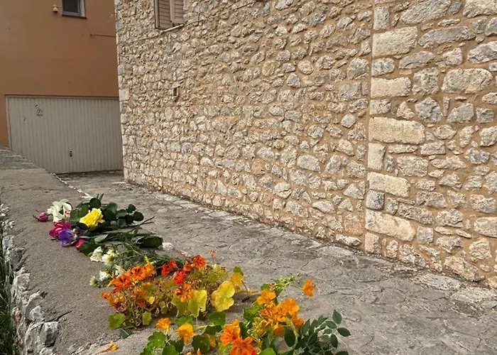 αιθεροβάμων - Etherovamon בית נופש *